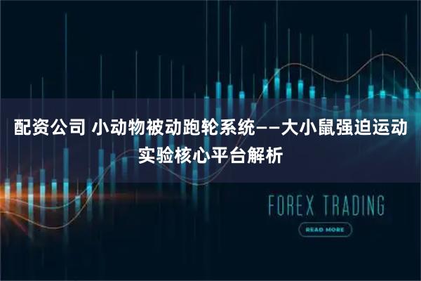 配资公司 小动物被动跑轮系统——大小鼠强迫运动实验核心平台解析