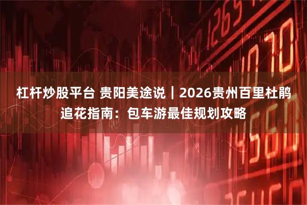 杠杆炒股平台 贵阳美途说｜2026贵州百里杜鹃追花指南：包车游最佳规划攻略